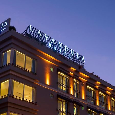 איסטמבול Levent Lavandula Hotel מראה חיצוני תמונה