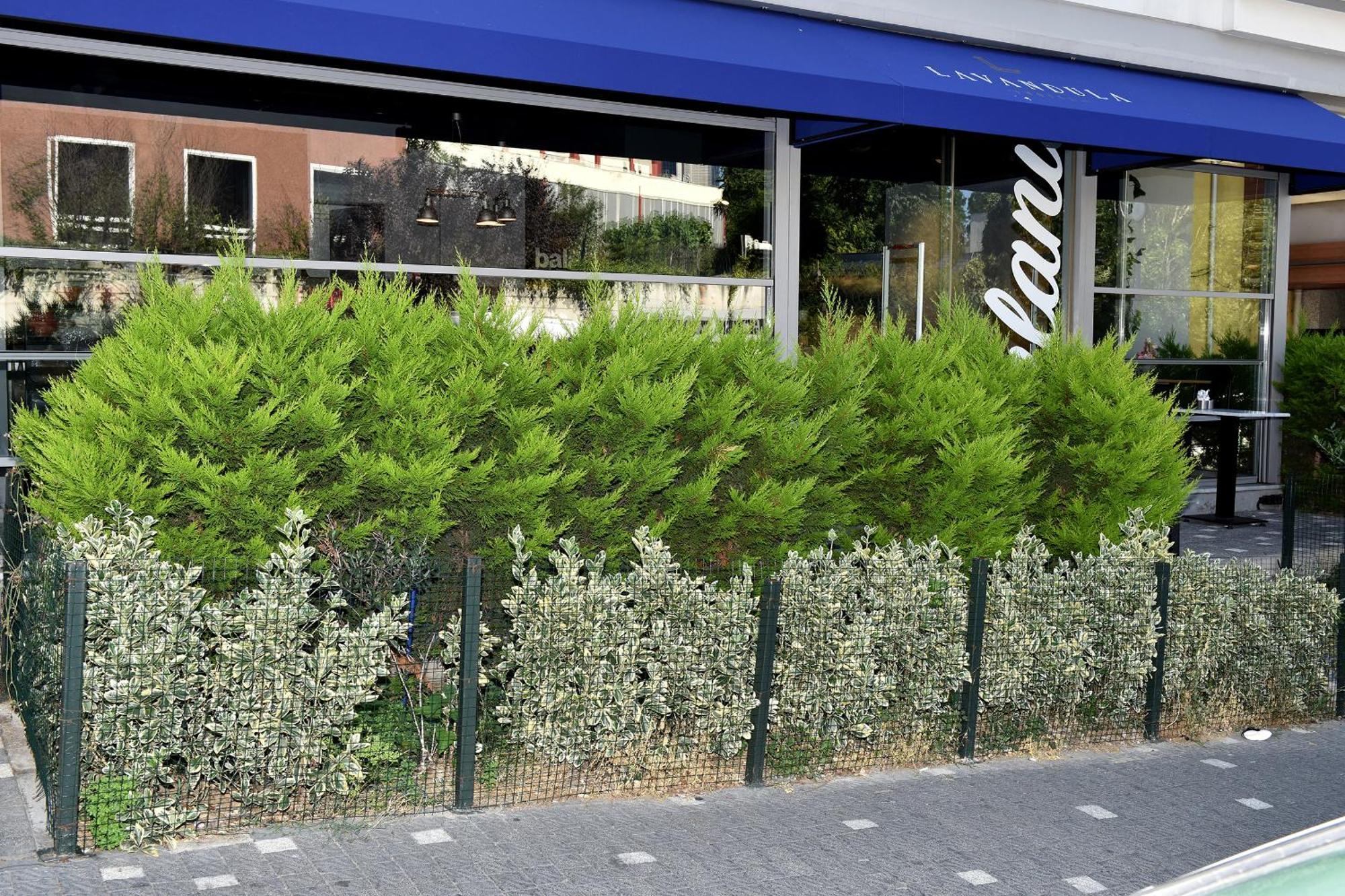 איסטמבול Levent Lavandula Hotel מראה חיצוני תמונה